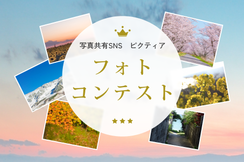 ピクティア‐pictier-