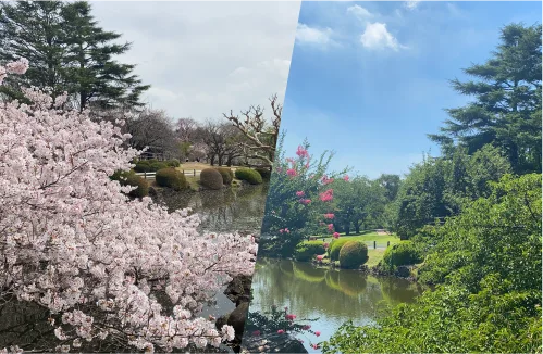 ピクティア‐pictier-